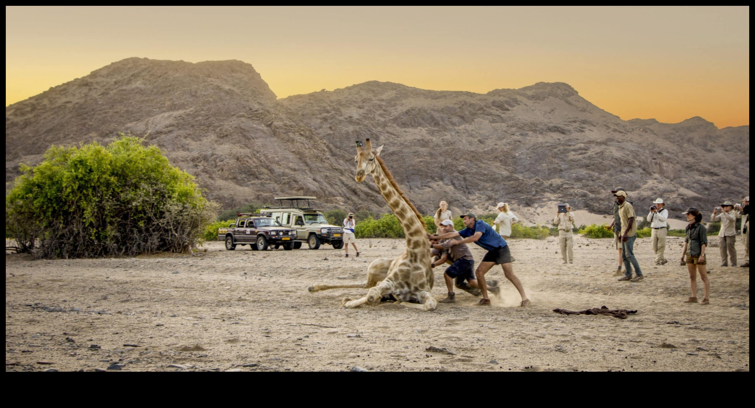 Videi draudzīgas ekspedīcijas: hibrīdpiedzīvojumi dabas aizsardzībai