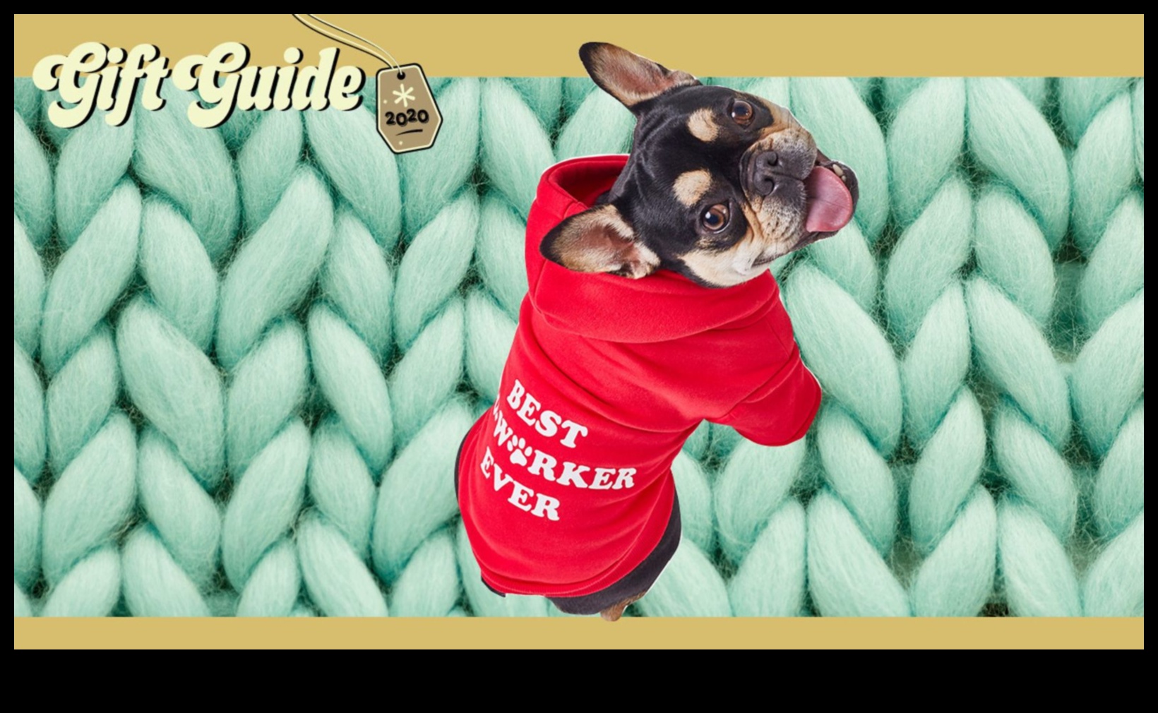 Mājdzīvnieku priekšrocības: dāvanas pūkainajiem draugiem un viņu pavadoņiem