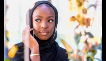 Izgaismotājs un vaigu sārtuma harmonija: vienota vaigu izskata iegūšana