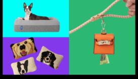 Mājdzīvnieku priekšrocības: dāvanas pūkainajiem draugiem un viņu pavadoņiem