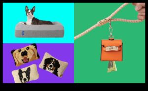 Mājdzīvnieku priekšrocības: dāvanas pūkainajiem draugiem un viņu pavadoņiem